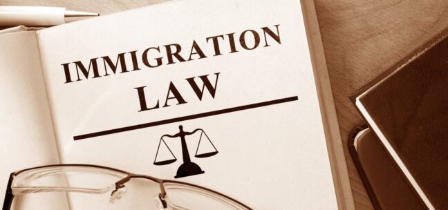 Immigration Laws