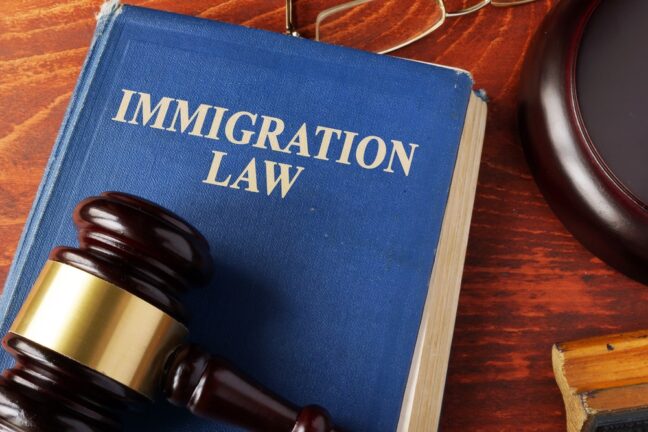 International Immigration Law