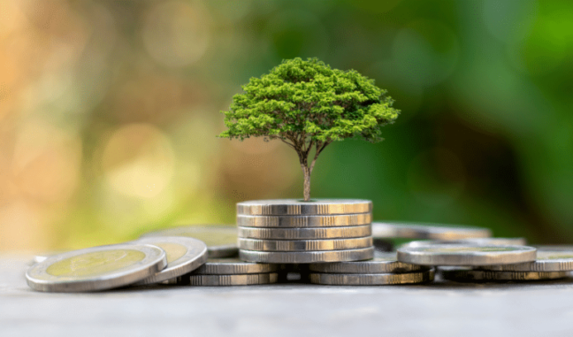 Social Impact and Profit