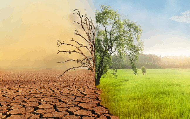 Climate Tech Entrepreneurship